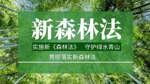 中华人民共和国森林法全文新版